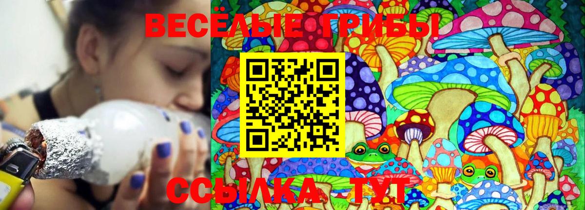 Галлюциногенные грибы Psilocybine cubensis  Вход с VPN  Камышин  Галлюциногенные грибы Psilocybine cubensis 