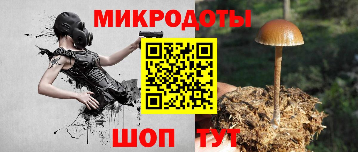 Галлюциногенные грибы мухоморы Камышин